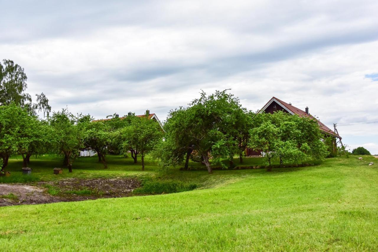 Sunny Beaver B&B Trakai Kültér fotó