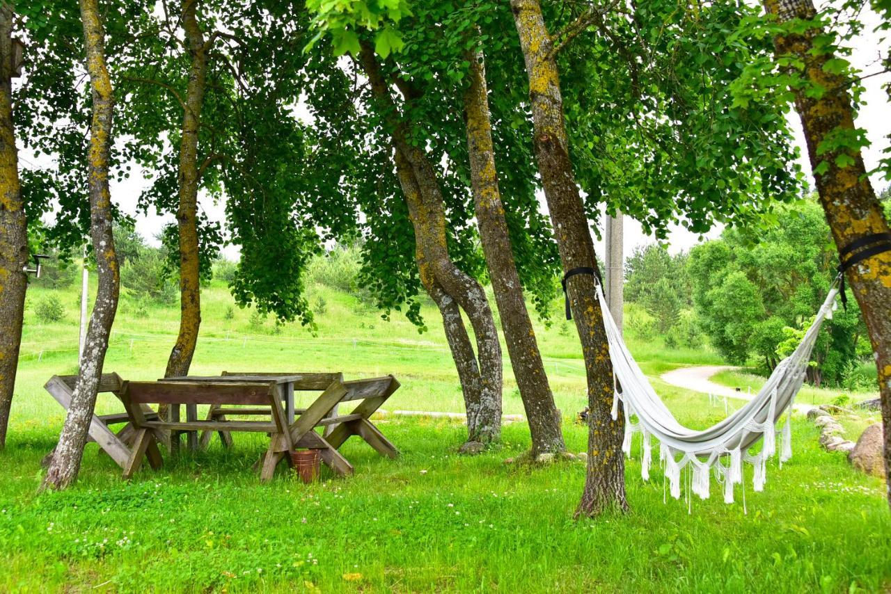 Sunny Beaver B&B Trakai Kültér fotó