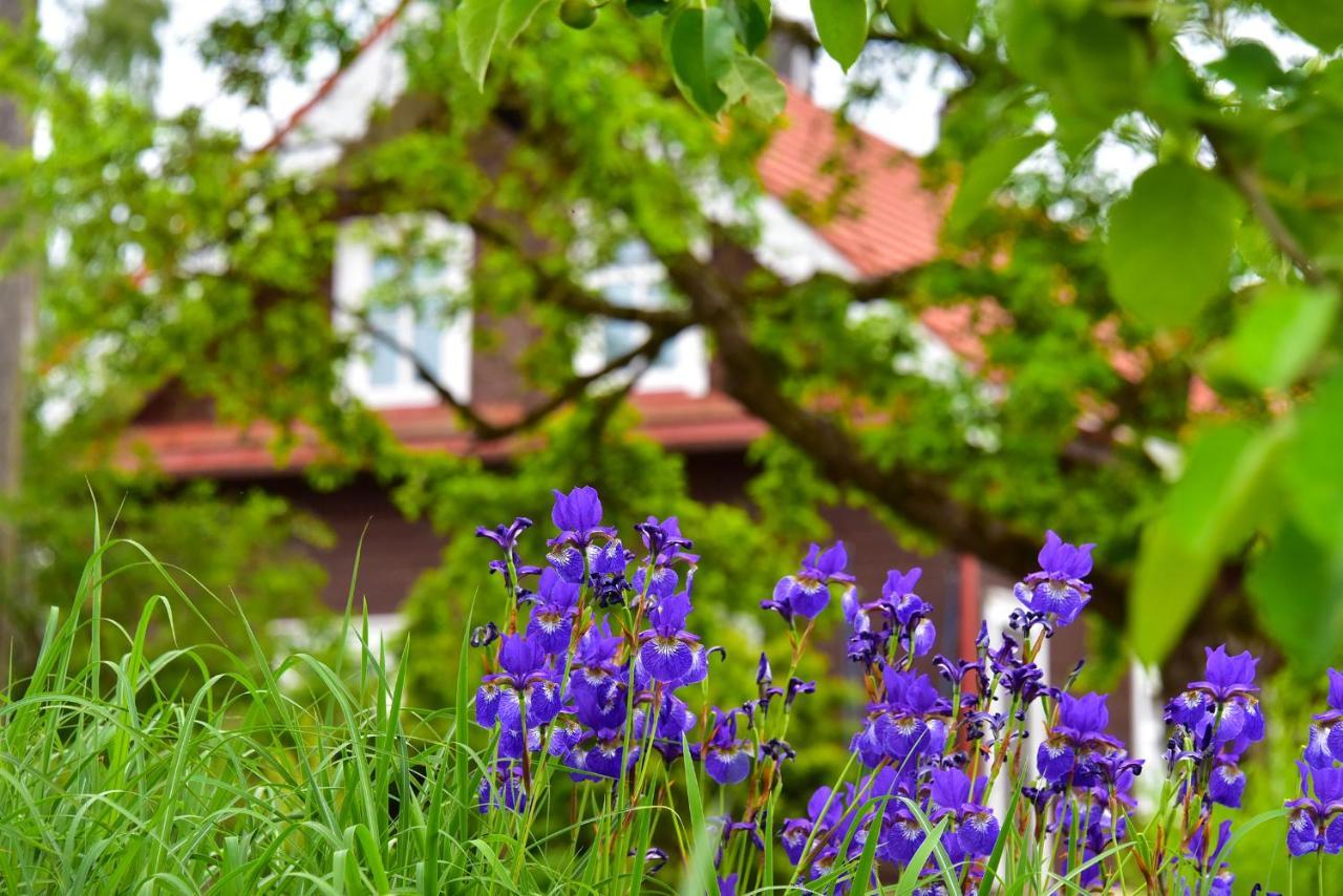 Sunny Beaver B&B Trakai Kültér fotó