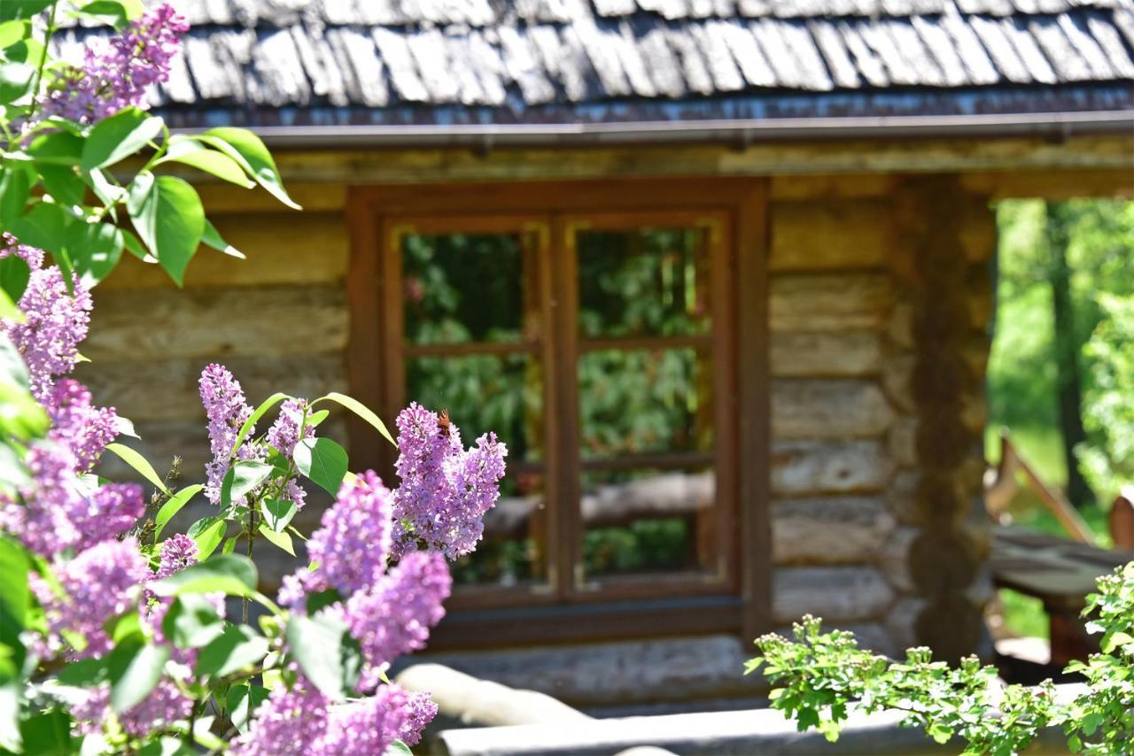 Sunny Beaver B&B Trakai Kültér fotó