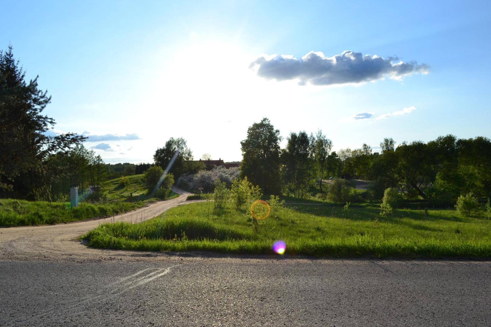 Sunny Beaver B&B Trakai Szoba fotó